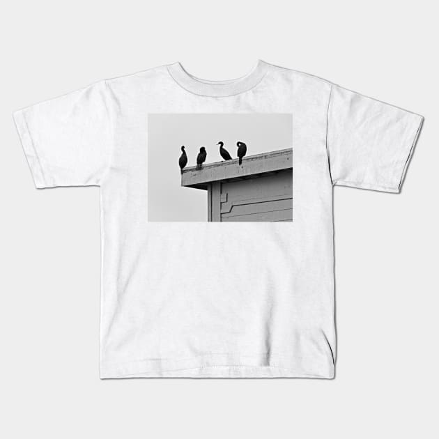 Monterey Quartet Kids T-Shirt by bobmeyers